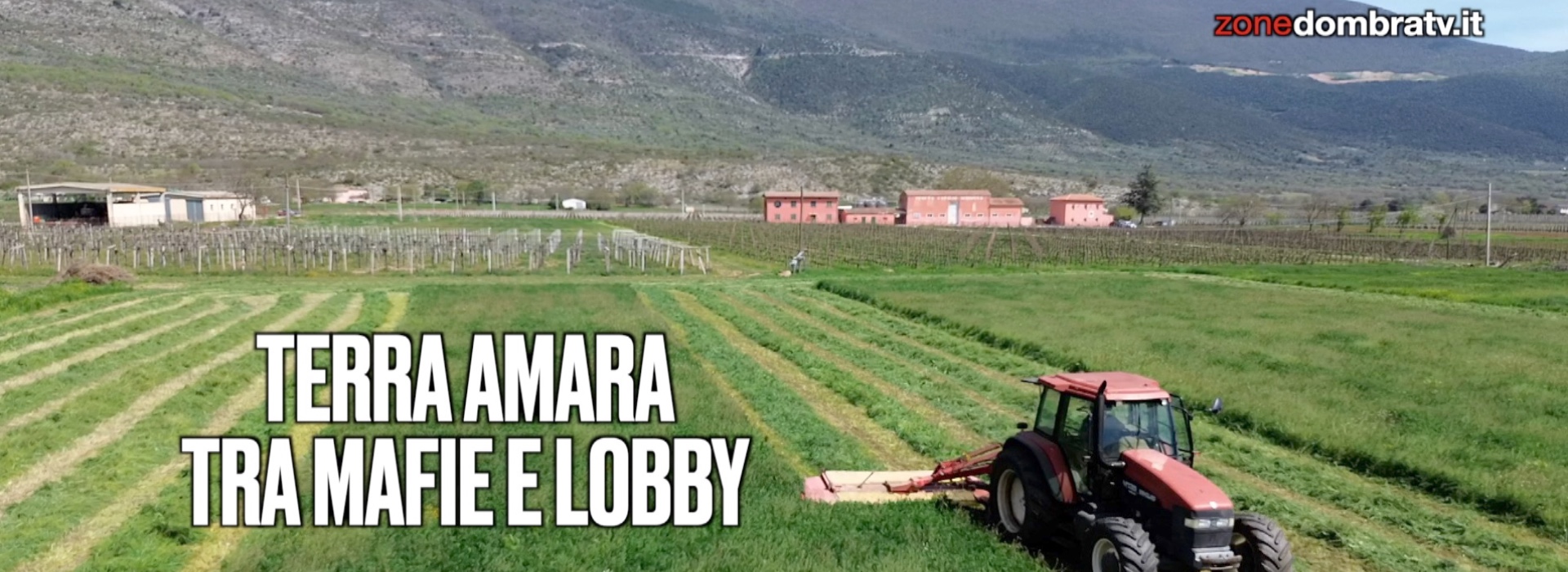 Abruzzo, terra mia. Tra mafia dei pascoli e Rewilding Europe